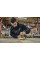 Шліфмашина ексцентрикова мережева DeWALT (DWE6423)