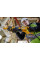Пила сабельная аккумуляторная DeWALT DCS389NT