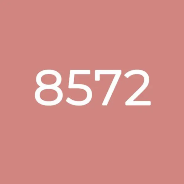 Двокомпонентна епоксидна фуга Octopus Zatirka колір 8572, 1,25 кг (8572-1)